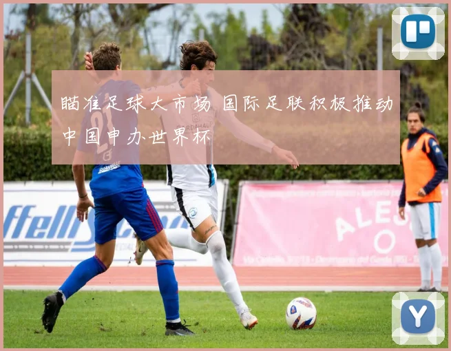 瞄准足球大市场 国际足联积极推动中国申办世界杯