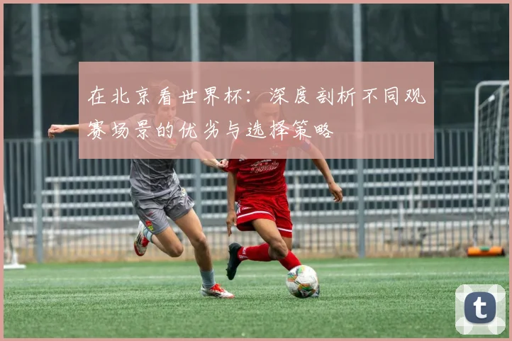 在北京看世界杯：深度剖析不同观赛场景的优劣与选择策略